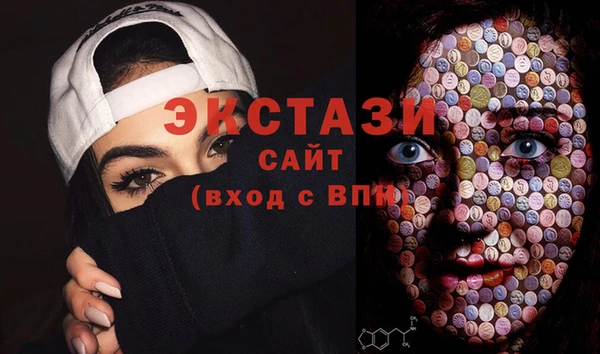 стаф Вязьма